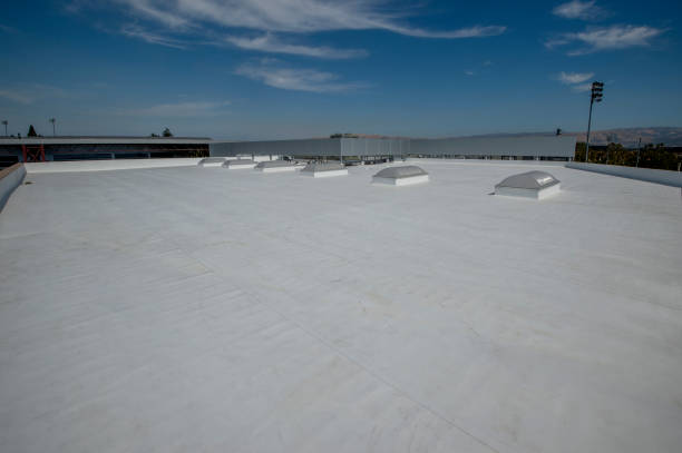 Best Skylight Installation and Repair  in South St Paul, MN