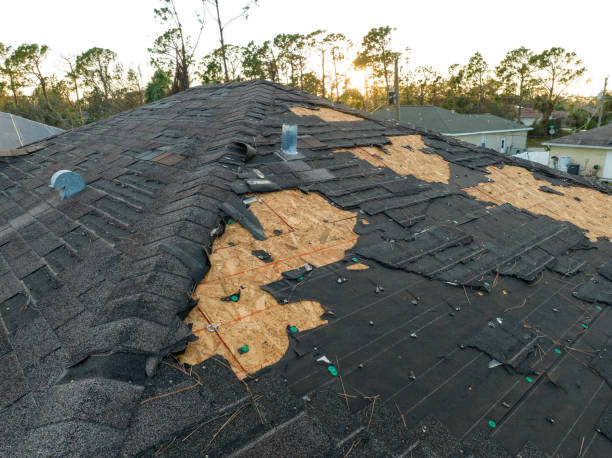 Best Roof Installation  in South St Paul, MN