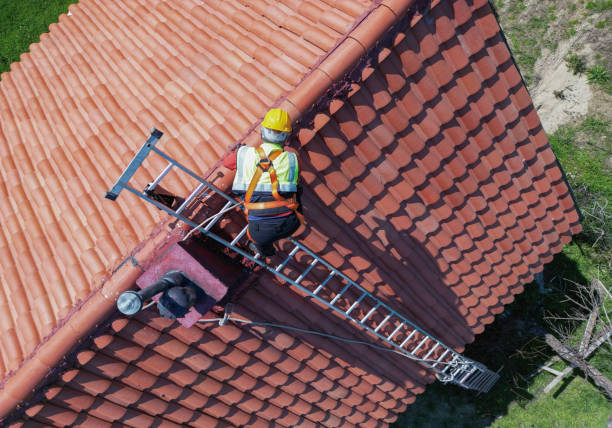 Best Rubber Roofing (EPDM, TPO)  in South St Paul, MN