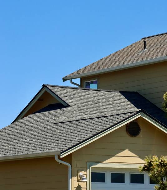 Best Chimney Flashing Repair  in South St Paul, MN